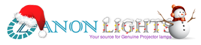 zanonlights.com