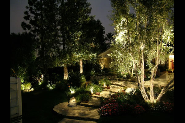 unique landscape lighting